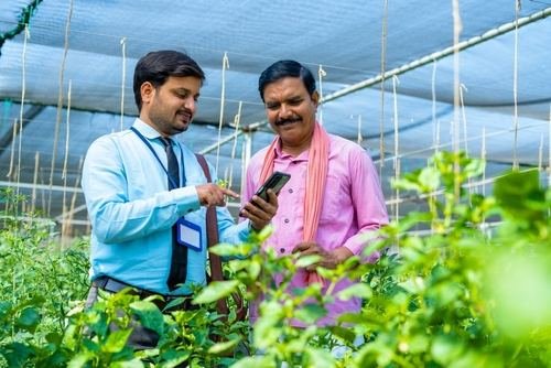 Financial Inclusion Business