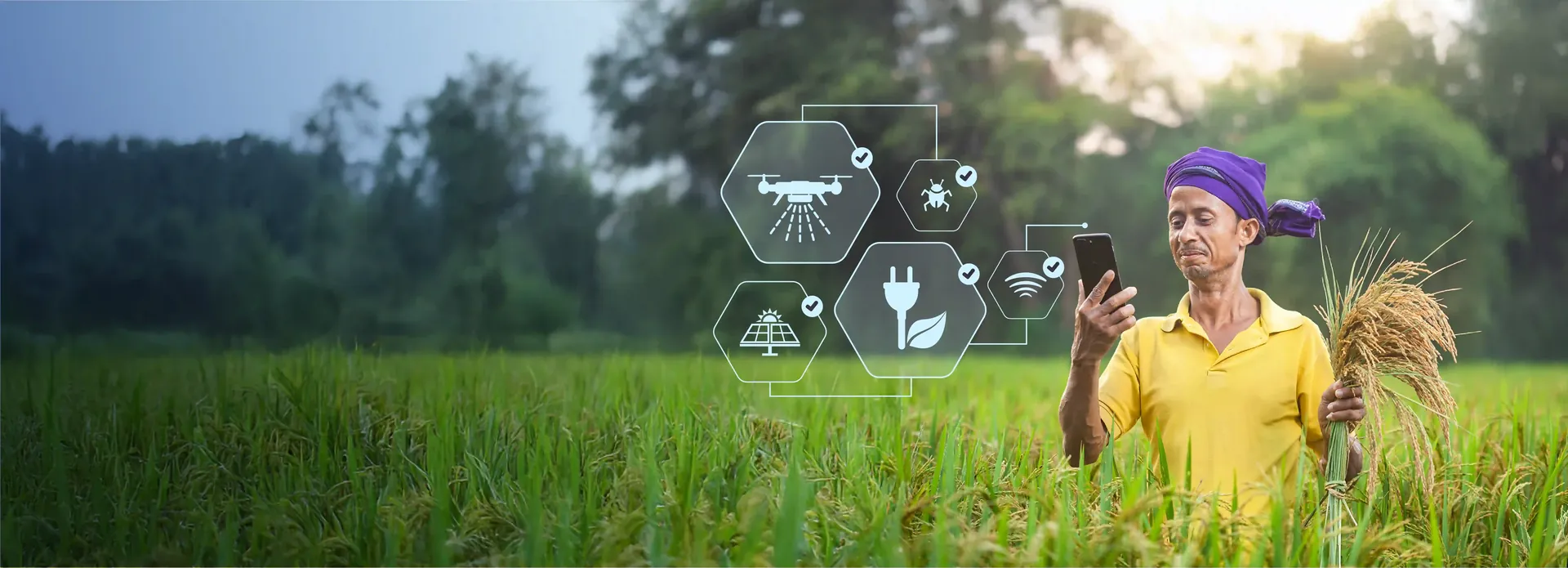 Building India's Largest Rural AgriTech Platform — farmer in rice paddy using phone
