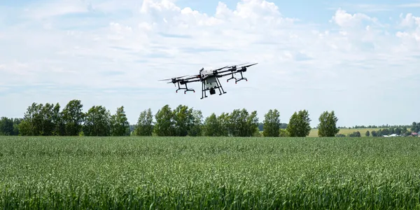 Drone & AI Monitoring