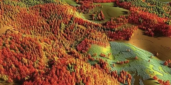 LiDAR-Based Carbon Mapping